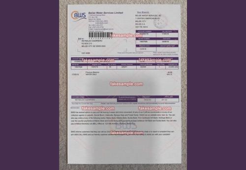 The Art of Documentation Reimagined by Fake-Sample